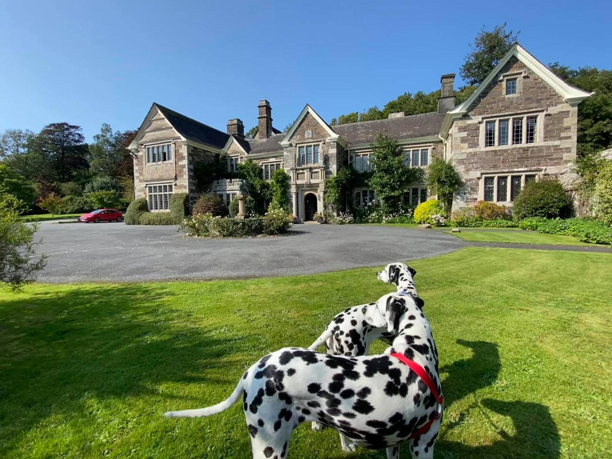 Lewtrenchard Manor Hotel ภายนอก รูปภาพ